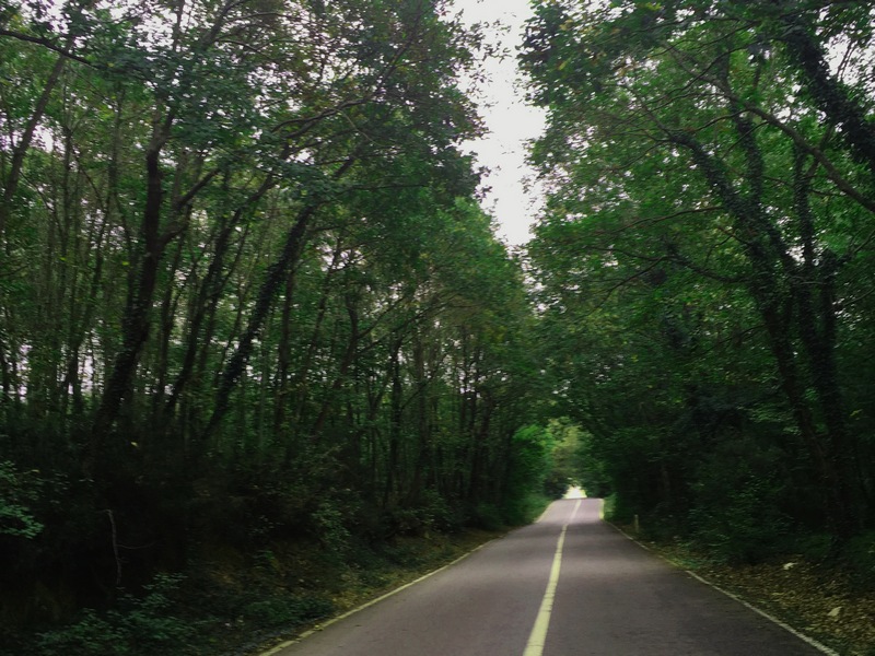 Şile - Darlık Yolu